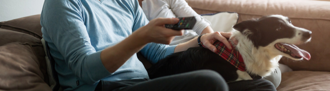 A couple casually sits at the couch watching tv with their dog