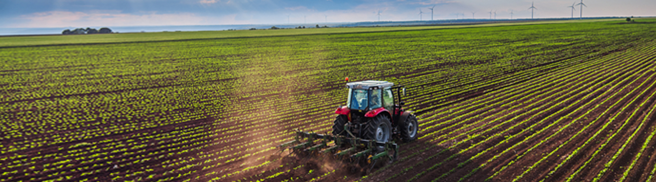 Tractor plowing field