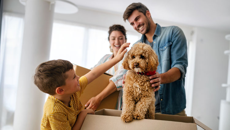 Making your pet's dream a reality with a Civista Mortgage.