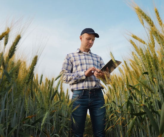 Farmer with tablet in a wheat field